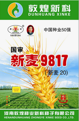 新麥9817(新麥20)