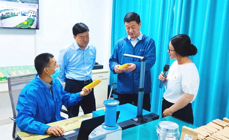 甘肅省地方金融監(jiān)管局、甘肅證監(jiān)局領導蒞臨敦煌種業(yè)調研指導