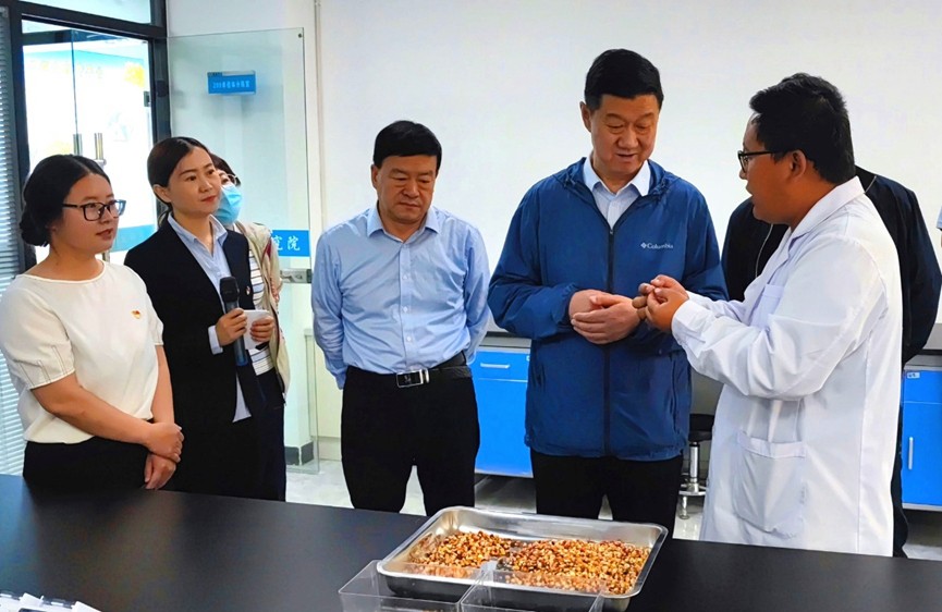 甘肅省地方金融監(jiān)管局、甘肅證監(jiān)局領導蒞臨敦煌種業(yè)調研指導