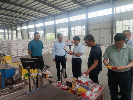 “三抓三促”進行時 | 強化落實解難題 激活企業(yè)促發(fā)展——公司董事長劉興斌一行赴武漢敦煌種業(yè)有限公司進行調研